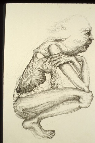 Meghan Caughey, Pain Person