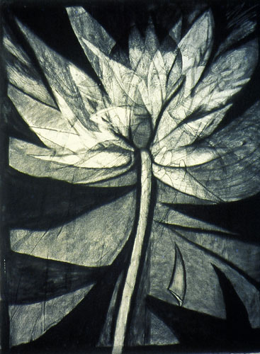 Meghan Caughey, Lotus blooming in different Times, No.10