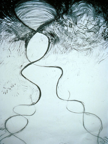 Meghan Caughey, Double Helix, No.17