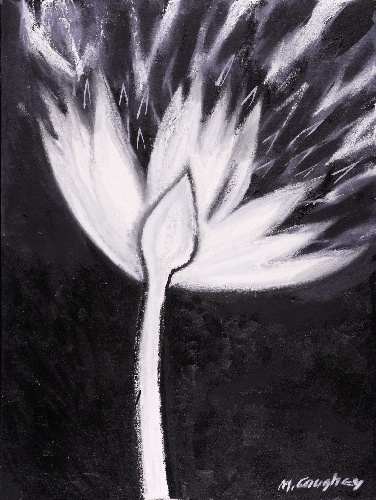 Meghan Caughey, Winter Lotus